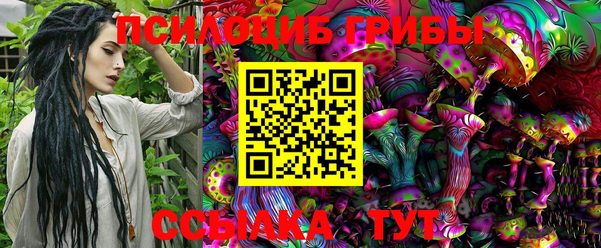 Псилоцибиновые грибы MAGIC MUSHROOMS  Галлюциногенные грибы прущие грибы  Вход с VPN  Камень-на-Оби 